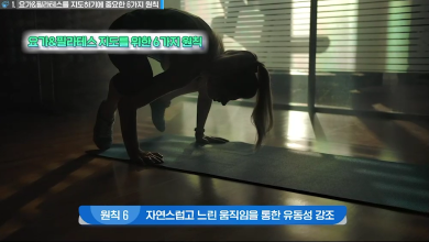 요가&필라테스 종목 학교스포츠클럽 운영 및 활동 썸네일 이미지